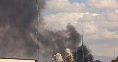 ब्रिटेन ने ईरानी मिसाइलें गिराईं