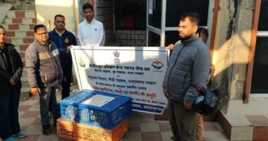 पशुपालन योजनाओं से ग्रामीणों को मिला स्वरोजगार, गांव में रहकर मजबूत कर रहे आर्थिकी