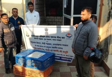 पशुपालन योजनाओं से ग्रामीणों को मिला स्वरोजगार, गांव में रहकर मजबूत कर रहे आर्थिकी