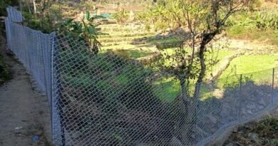 घेरबाड़ योजना से सुरक्षित हुई फसलें, 339 हेक्टेयर कृषि भूमि को मिला संरक्षण घेरबाड़ योजना से सुरक्षित हुई फसलें, 339 हेक्टेयर कृषि भूमि को मिला संरक्षण