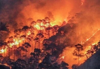 उत्तराखंड में बढ़ी वनाग्नि की घटनाएं, फायर सीजन में अब तक 73 मामले दर्ज उत्तराखंड में बढ़ी वनाग्नि की घटनाएं, फायर सीजन में अब तक 73 मामले दर्ज