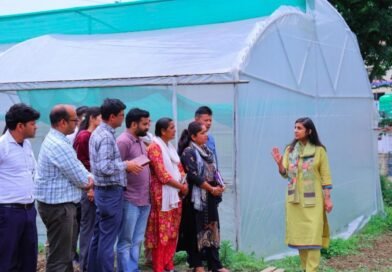 कोट और देवल में फूलों व सब्जियों की खेती से बदलेगी ग्रामीण अर्थव्यवस्था- जिलाधिकारी कोट और देवल में फूलों व सब्जियों की खेती से बदलेगी ग्रामीण अर्थव्यवस्था- जिलाधिकारी