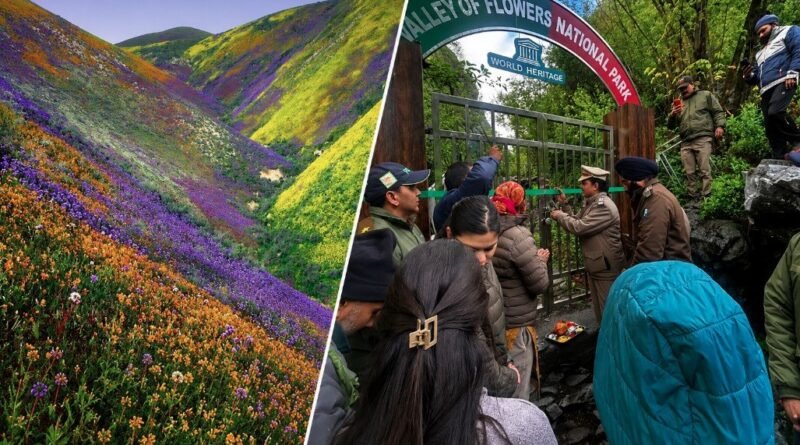 विश्व प्रसिद्ध फूलों की घाटी पर्यटकों के लिए खुली विश्व प्रसिद्ध फूलों की घाटी पर्यटकों के लिए खुली