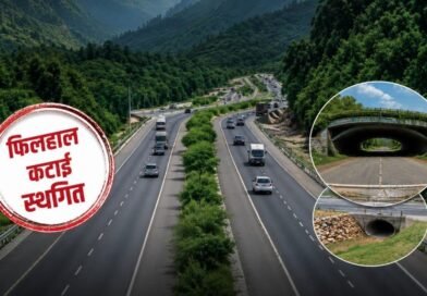 सरकार का बड़ा फैसला- देहरादून-ऋषिकेश फोर/सिक्स लेन परियोजना में फिलहाल नहीं कटेंगे पेड़ सरकार का बड़ा फैसला- देहरादून-ऋषिकेश फोर/सिक्स लेन परियोजना में फिलहाल नहीं कटेंगे पेड़